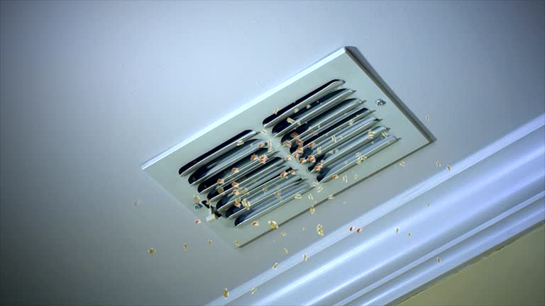 Best Air Duct Cleaning Near Me  in Thruston, KY