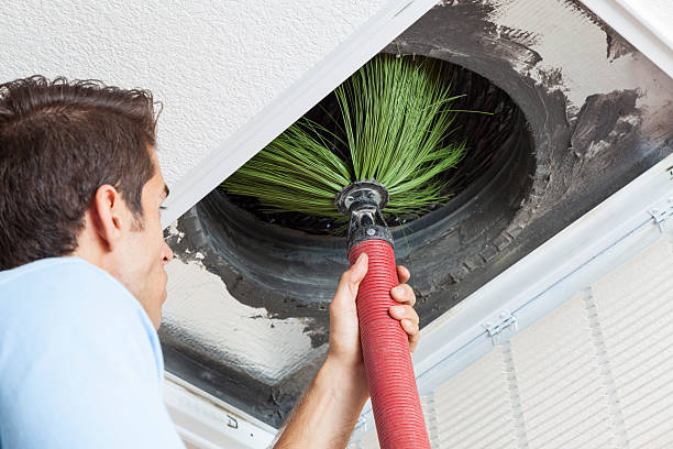 Best Air Duct Sanitizing Services  in Thruston, KY